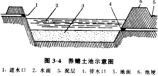 黃鱔養(yǎng)殖技術(shù)