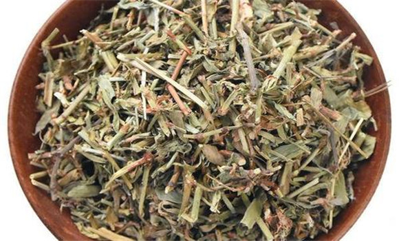 萹蓄的用法、用量與禁忌