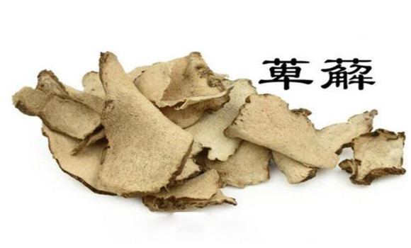 萆薢的用法，用量與禁忌