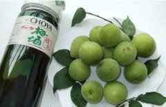 怎樣自制梅子酒？介紹梅子酒的做法