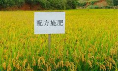 測土配方施肥的意義、作用