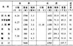 養(yǎng)殖戶為何喜歡養(yǎng)團(tuán)頭魴