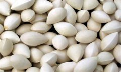 白果的功效與作用及食用方法、禁忌
