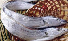 帶魚發(fā)黃能吃嗎？帶魚表面發(fā)黃的原因是什么
