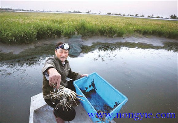 水源充足、水質(zhì)清新無(wú)污染