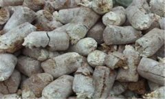 食用菌菌糠的營養(yǎng)成分、用途與再利用前景分析