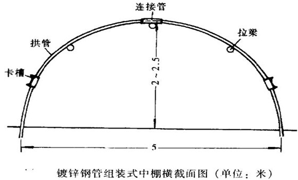 塑料中棚加外覆蓋能明顯使蔬菜早熟，效益高