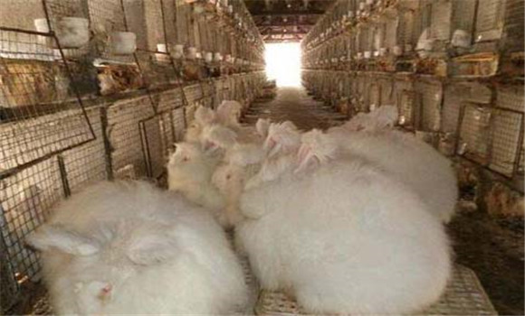 飼料要搭配、交換