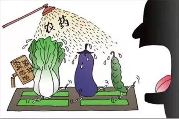 怎樣合理使用農(nóng)藥，防止農(nóng)藥對蔬菜的污染
