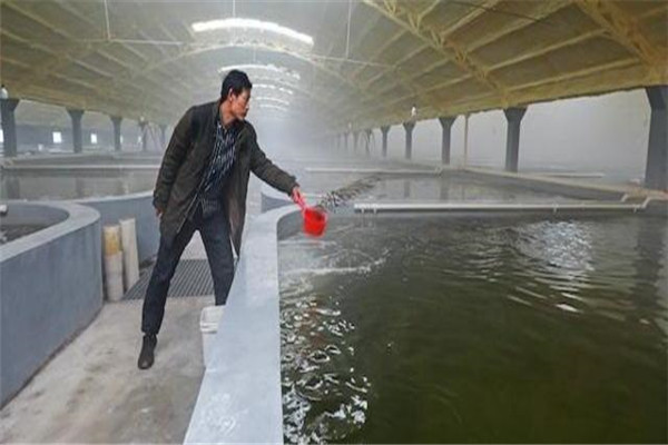 pH值。表示水的酸堿度