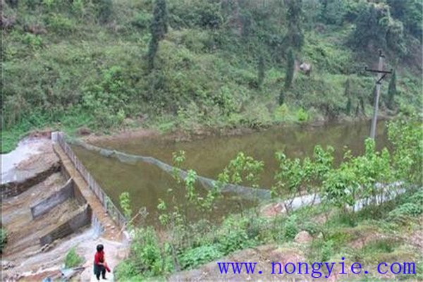 發(fā)展山區(qū)流水養(yǎng)魚要注意哪些問題