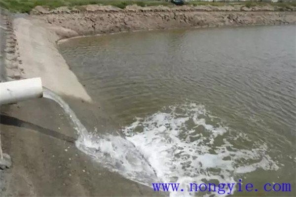 定期沖換水，保讓魚塘水質(zhì)