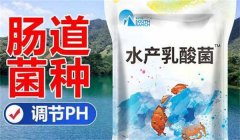 水產(chǎn)乳酸菌什么時(shí)間使用效果好 需注意哪些事項(xiàng)