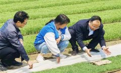 如何處理擱田與治蟲的關(guān)系，怎樣保護(hù)稻田蜘蛛